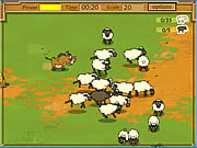 ƘaƄan Sheep