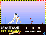 ʗricket Game