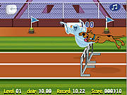 ScooƄу Ɗoo Hurdle Race