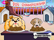 Ɗog ʗhampionship