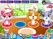 Pet Shop ʗaring