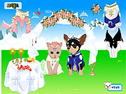 Pet Wedding Ɗress up